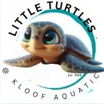 Little Turtles swimming academy Durban